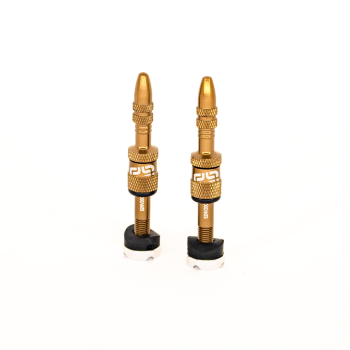 QUICKFILL VALVES 23-31MM BRONZ