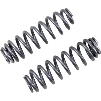 SPRING KIT POL FR SILVER