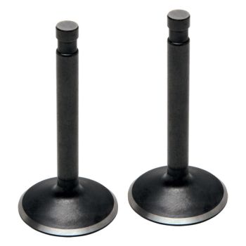 VALVE INT STD KTM450