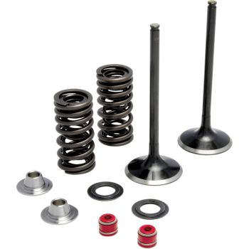 VALVE KIT IN MSE CRF450X