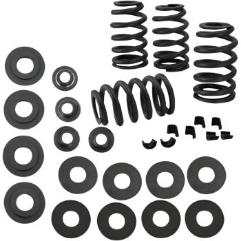 SPRING KIT VALVE .585"