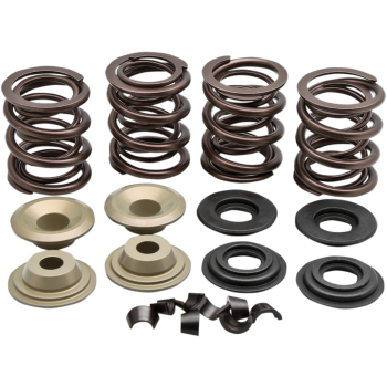 SPRING KT L79-84 BT .600S