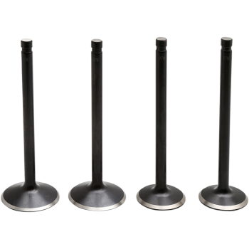 VALVE KIT 86-03 EVO/883