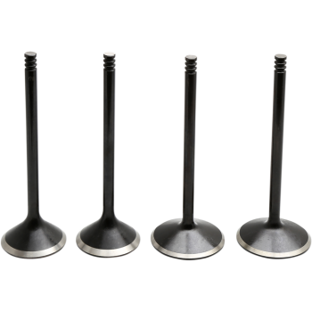 VALVE KIT 04-17 EVO/1200