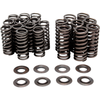VALVE SPRING ONLY KIT