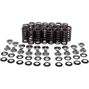 VALVE SPRING KIT YZFR1