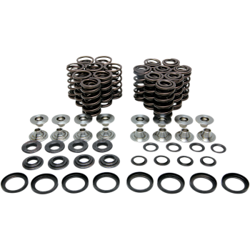 VALVE SPRING KIT YZFR1