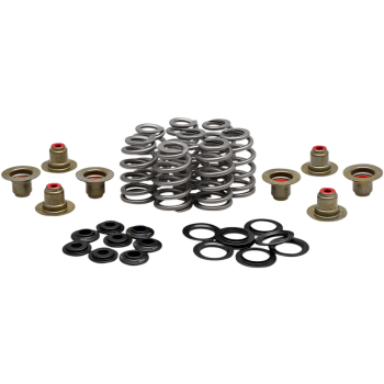 SPRING KIT BHIVE M8 .625