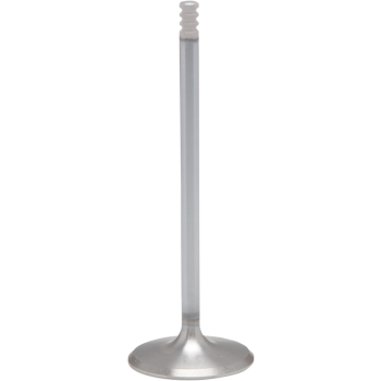 VALVE INTAKE STD M8 17+