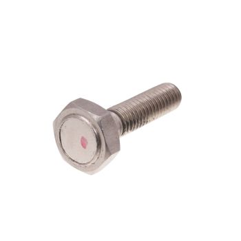 Magnetiseeritud polt Koso pidurikettale M8x1,25x29