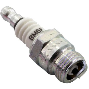 NGK spark plug BM6F