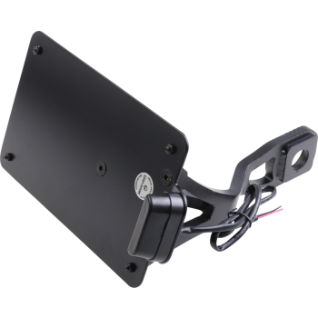 LICENSE PLATE FR SCOUT