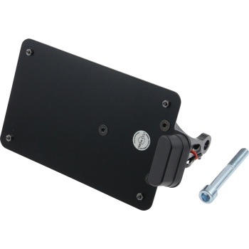 LICENSE PLATE FR VROD