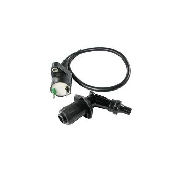 Ignition Coil, 139QMA/QMB