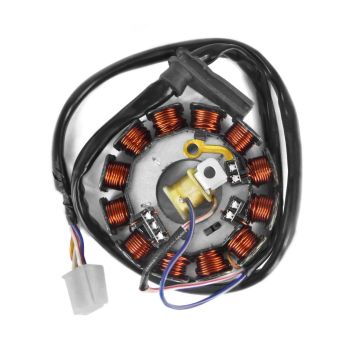 TNT Stator, AM6, 12-pole