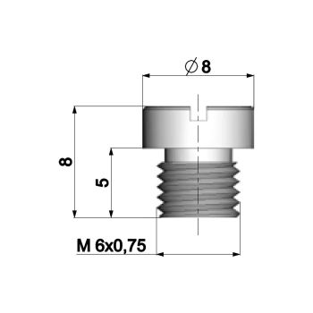 karburaatori peadüüs Polini 6mm Dellorto karburaatori jaoks - 174