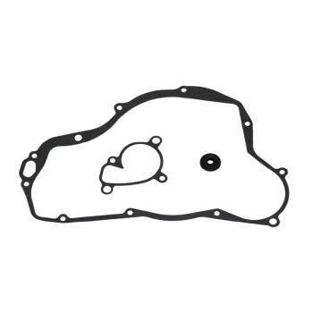 Psychic water pump repair kit RM250 01-08