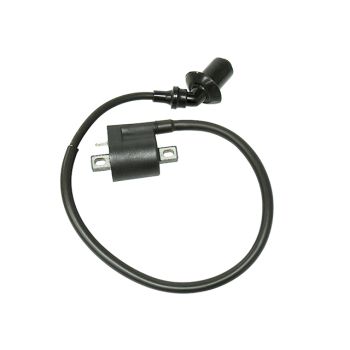 Bronco Ignition Coil Cf Moto