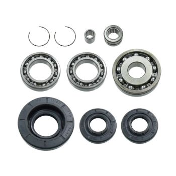 Bronco Differential Bearing & Seal Kit