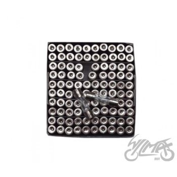 Kaitse mz 2a, 5x20 mm, 100tk pakis