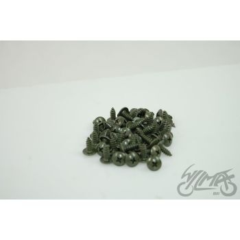 Kruvi 4.8 x 13 mm, ristpea, Scooter assebml. (50tk pakis)