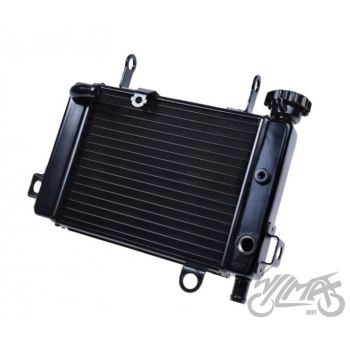 Jahutusradiaator Honda CBR125