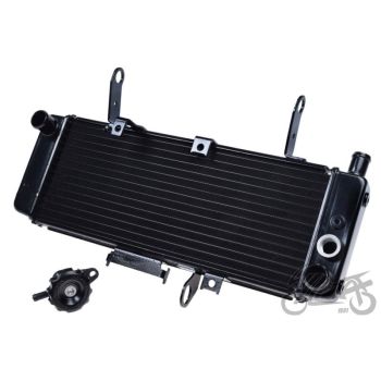 Jahutusradiaator Suzuki SV650S