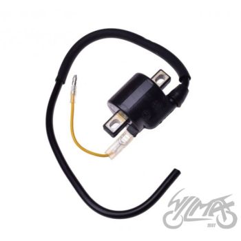 Süütepool HONDA TAIWAN