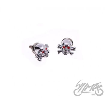 Polt numbrimärgi alusele - pealuu/luud, kroomitud