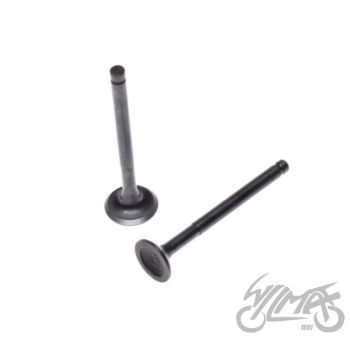 Klappide komplekt (sisselaske ja väljalaske) 50/80CC de