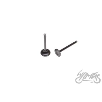 Klappide komplekt (sisselaske ja väljalaske) AY35176