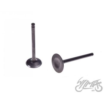 Klappide komplekt (sisselaske ja väljalaske)