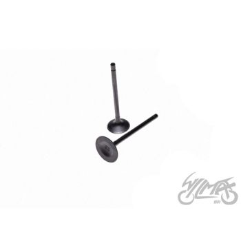 Klappide komplekt (sisselaske ja väljalaske) LONCIN CROSS 250