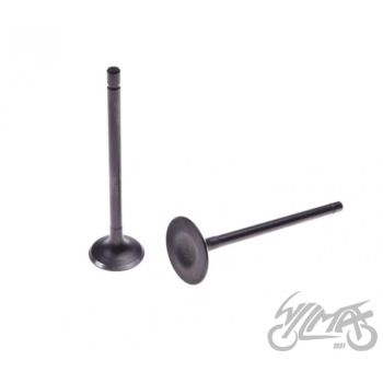 Klappide komplekt (sisselaske ja väljalaske) 150 CC LONCIN 4T LC