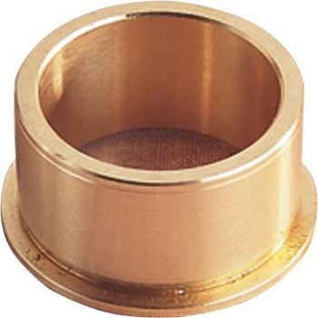 CAM BUSHING 70-99 BIG TWN