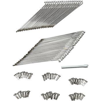 CHR SPOKES STL HUB 19 D-C