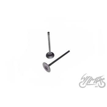 Klapid (sisse+välja) 156FMI mootorile