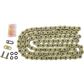 RK GB520EXW X 100 LINKS