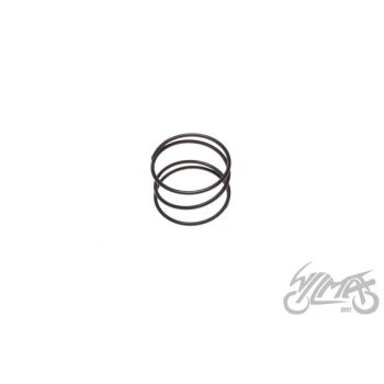 Käivitushoova vedru