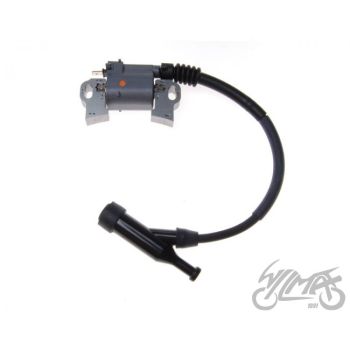 GX go-kart mootori süütepool