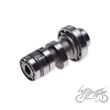 Nukkvõll mootorile LF120