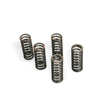 CLUTCH SPRING KIT SUZ