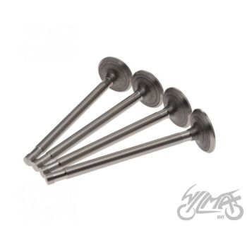 Klappide komplekt (sisse+välja) K-750 9,05 MM