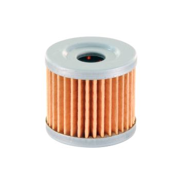 õlifilter Polini Hyosungile, Suzukile