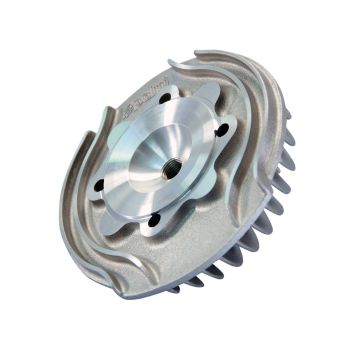 cylinder head Polini Evolution for Vespa Primavera 125 2T, Primavera 125 ET3 2T