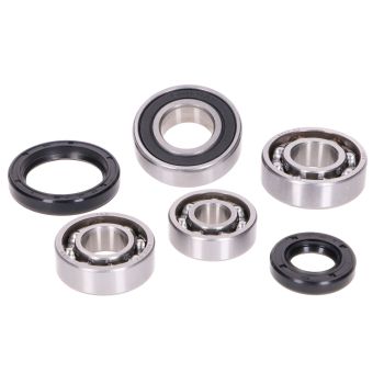 käigukasti laagrikomplekt koos õlitihenditega Daelim E-Five, S-Five, Vivo 50cc 2-taktilistele mootoritele