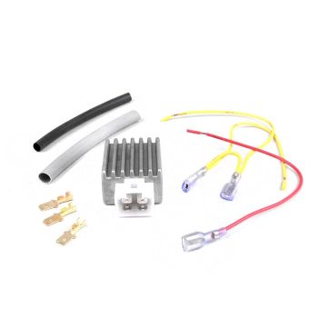 Voltage regulator -4-plug BGM PRO 12V AC/DC- universal