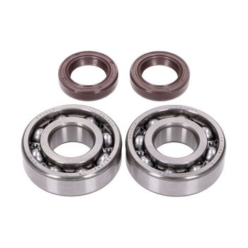 crankshaft bearing set Naraku FKM Heavy Duty for Peugeot horizontal