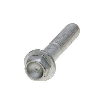 screw w/ flange OEM M6x30