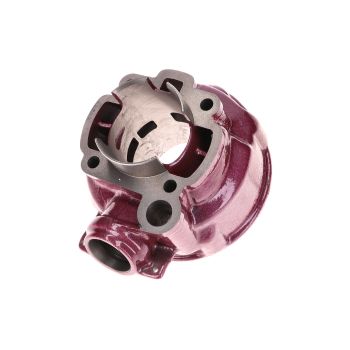 cylinder kit Top Performances 2 Plus 75cc 49.5mm for Minarelli AM6